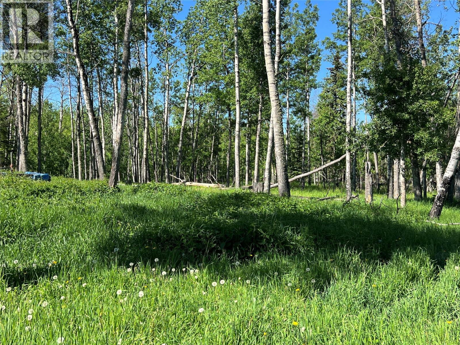 3466 218 Road, Dawson Creek, British Columbia  V1G 4E8 - Photo 22 - 10366889
