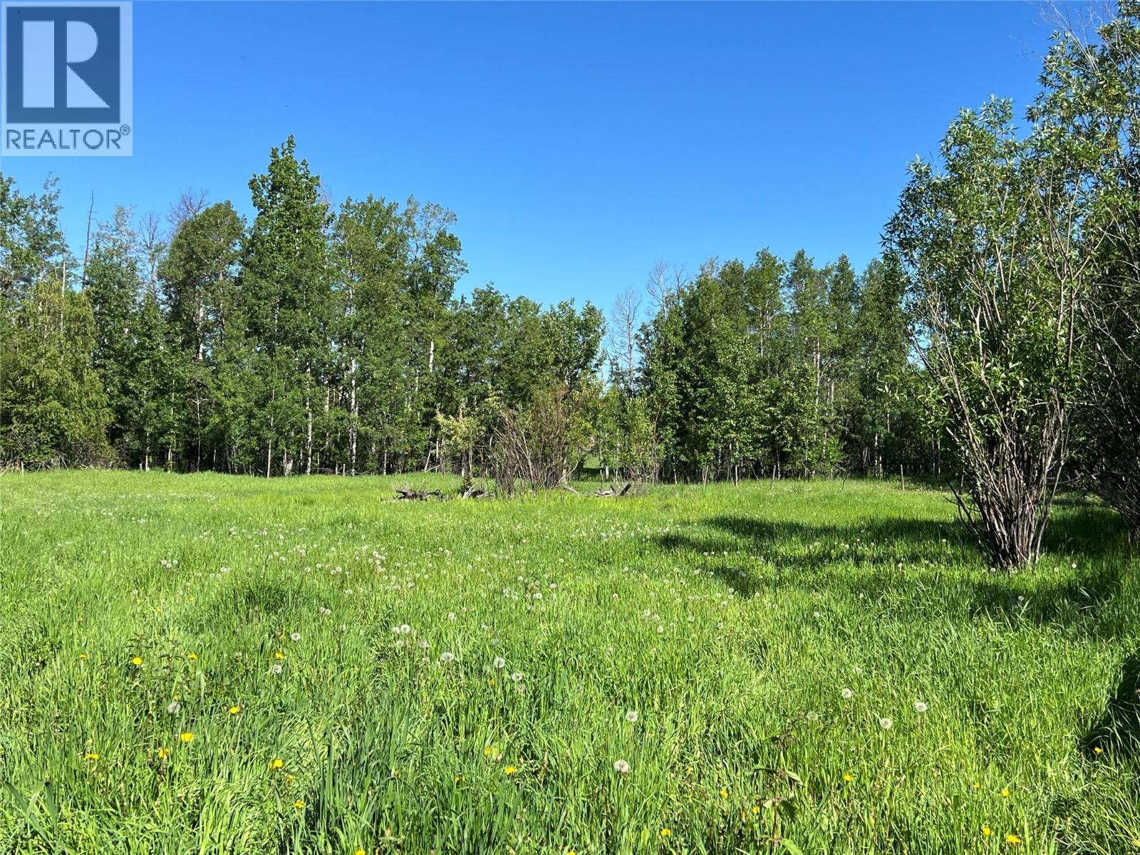 3466 218 Road, Dawson Creek, British Columbia  V1G 4E8 - Photo 23 - 10366889