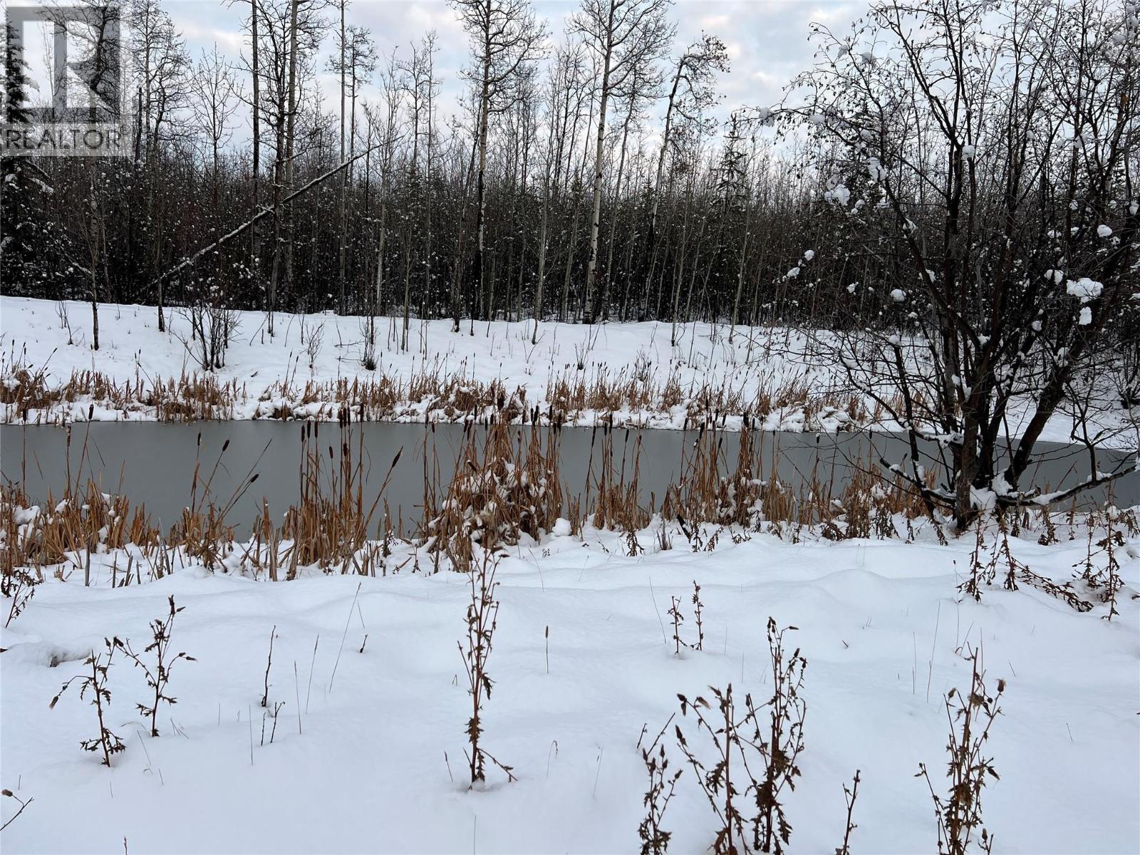 3466 218 Road, Dawson Creek, British Columbia  V1G 4E8 - Photo 7 - 10366889