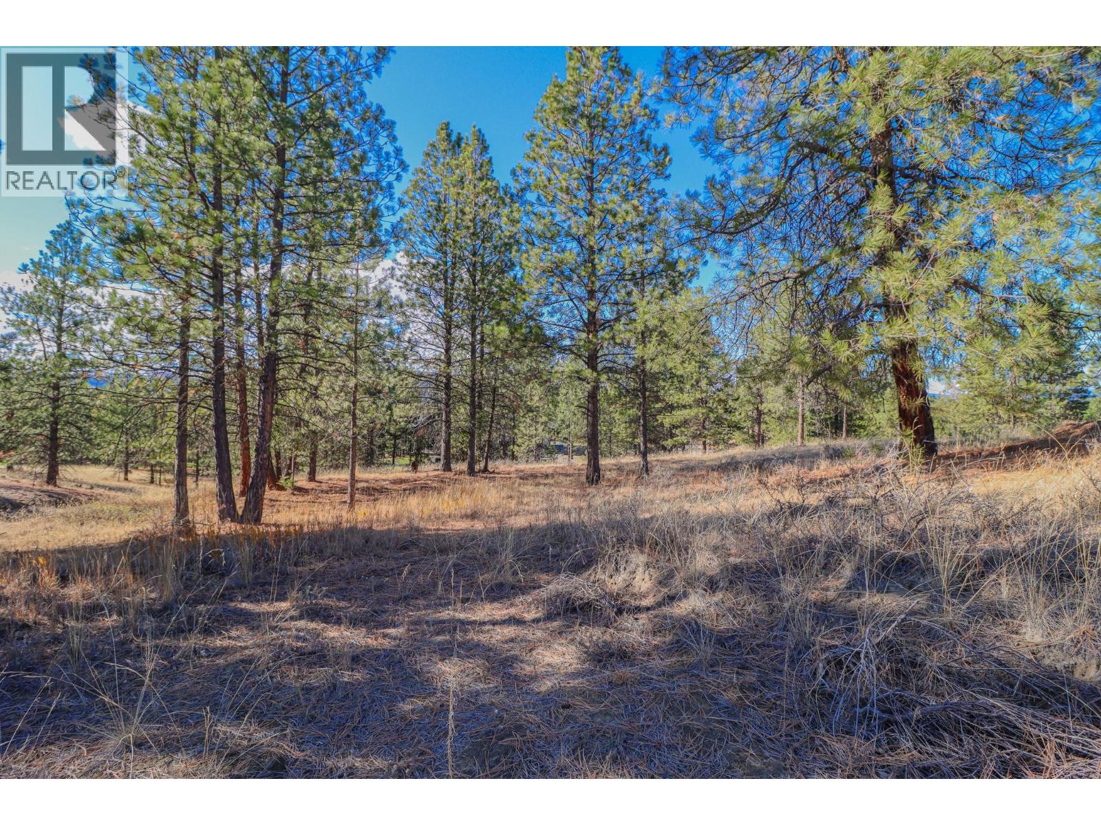 208 Corral Boulevard, Cranbrook, British Columbia  V1C 0C2 - Photo 6 - 10366906