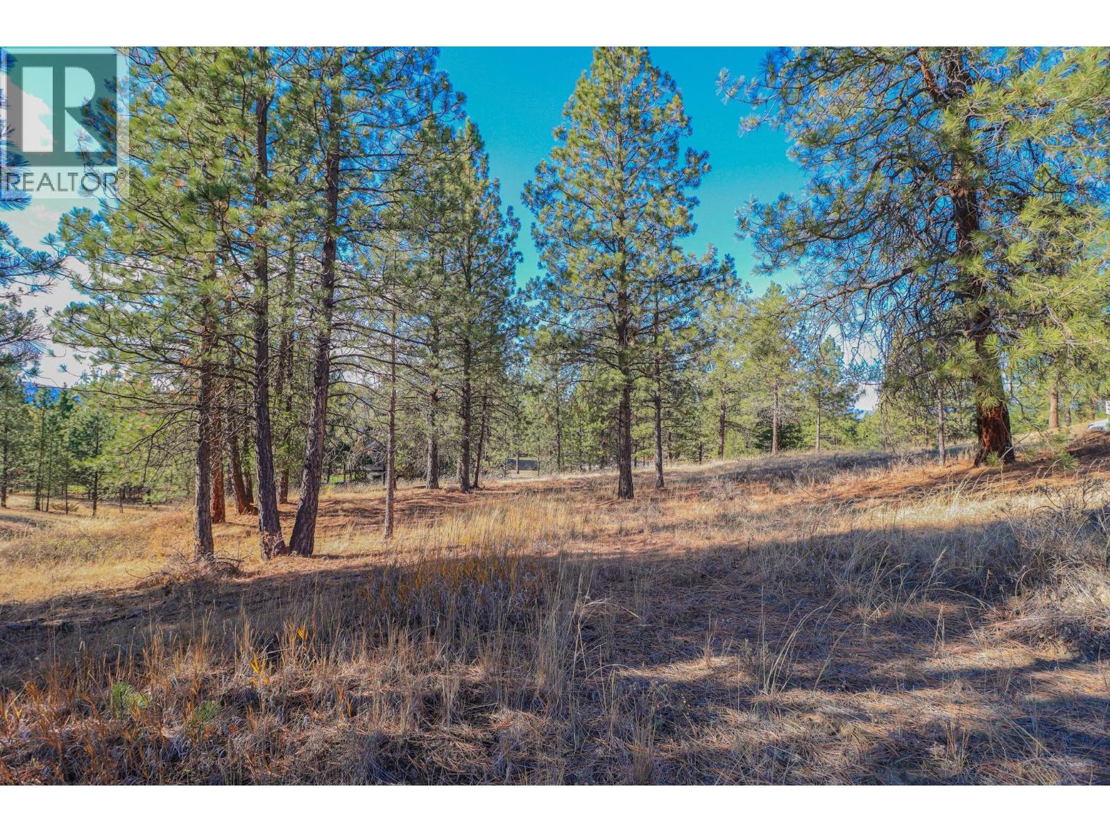 208 Corral Boulevard, Cranbrook, British Columbia  V1C 0C2 - Photo 7 - 10366906