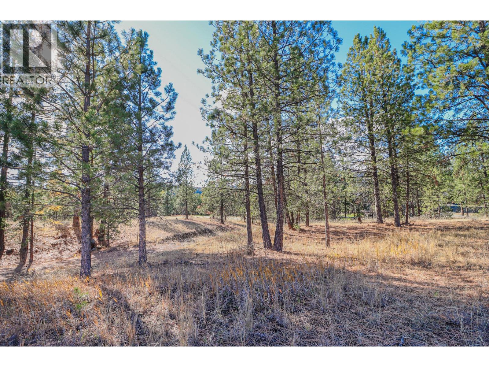 208 Corral Boulevard, Cranbrook, British Columbia  V1C 0C2 - Photo 8 - 10366906