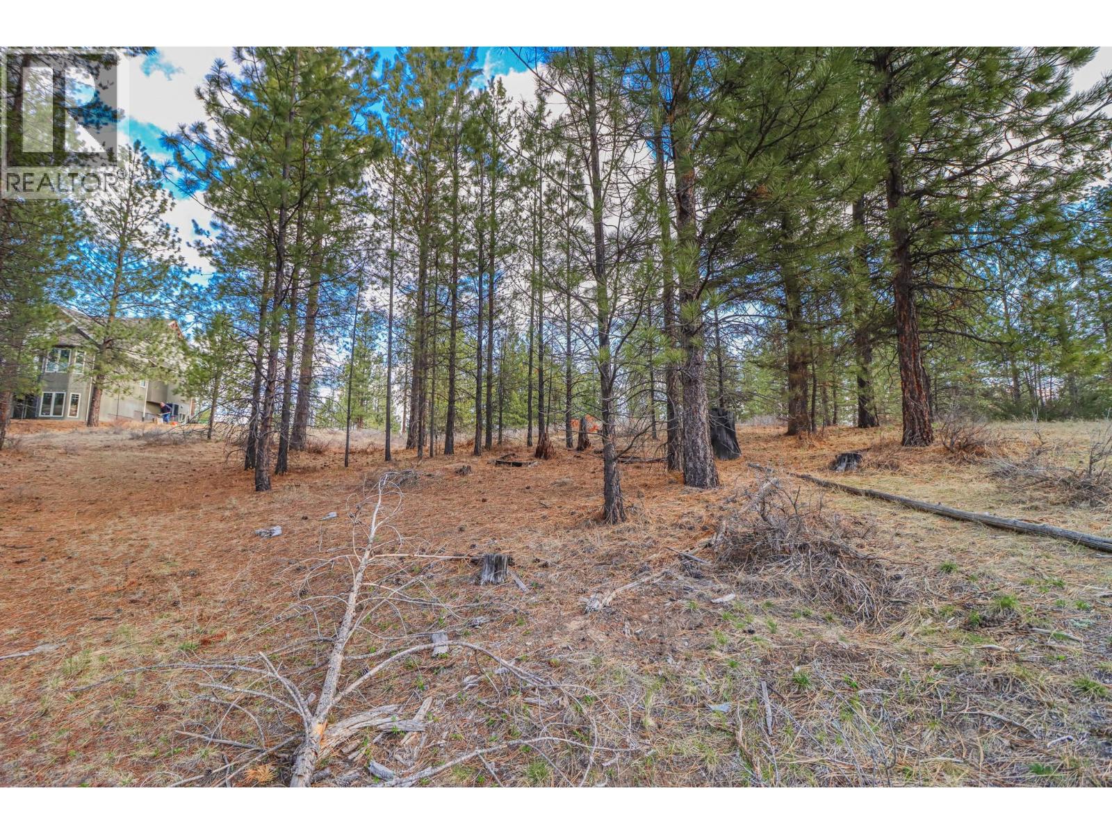 240 Corral Boulevard, Cranbrook, British Columbia  V1C 0C2 - Photo 10 - 10366899