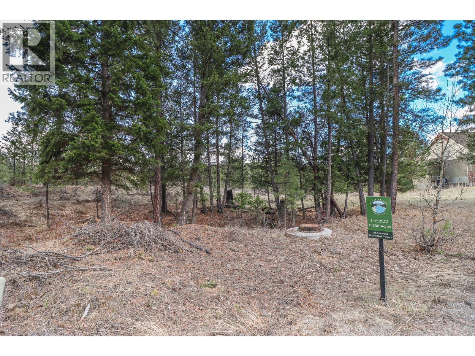 240 Corral Boulevard, Cranbrook, British Columbia  V1C 0C2 - Photo 6 - 10366899