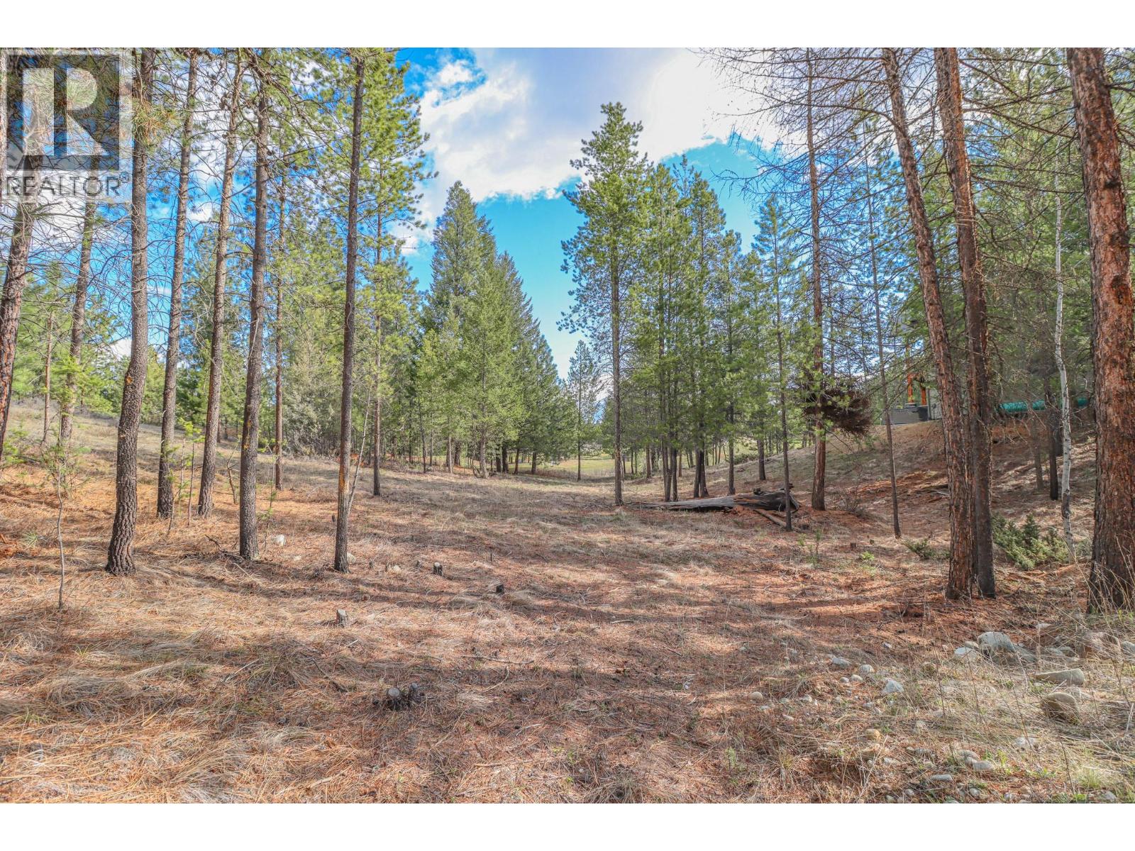 333 Corral Close, Cranbrook, British Columbia  V1C 0C2 - Photo 2 - 10366895