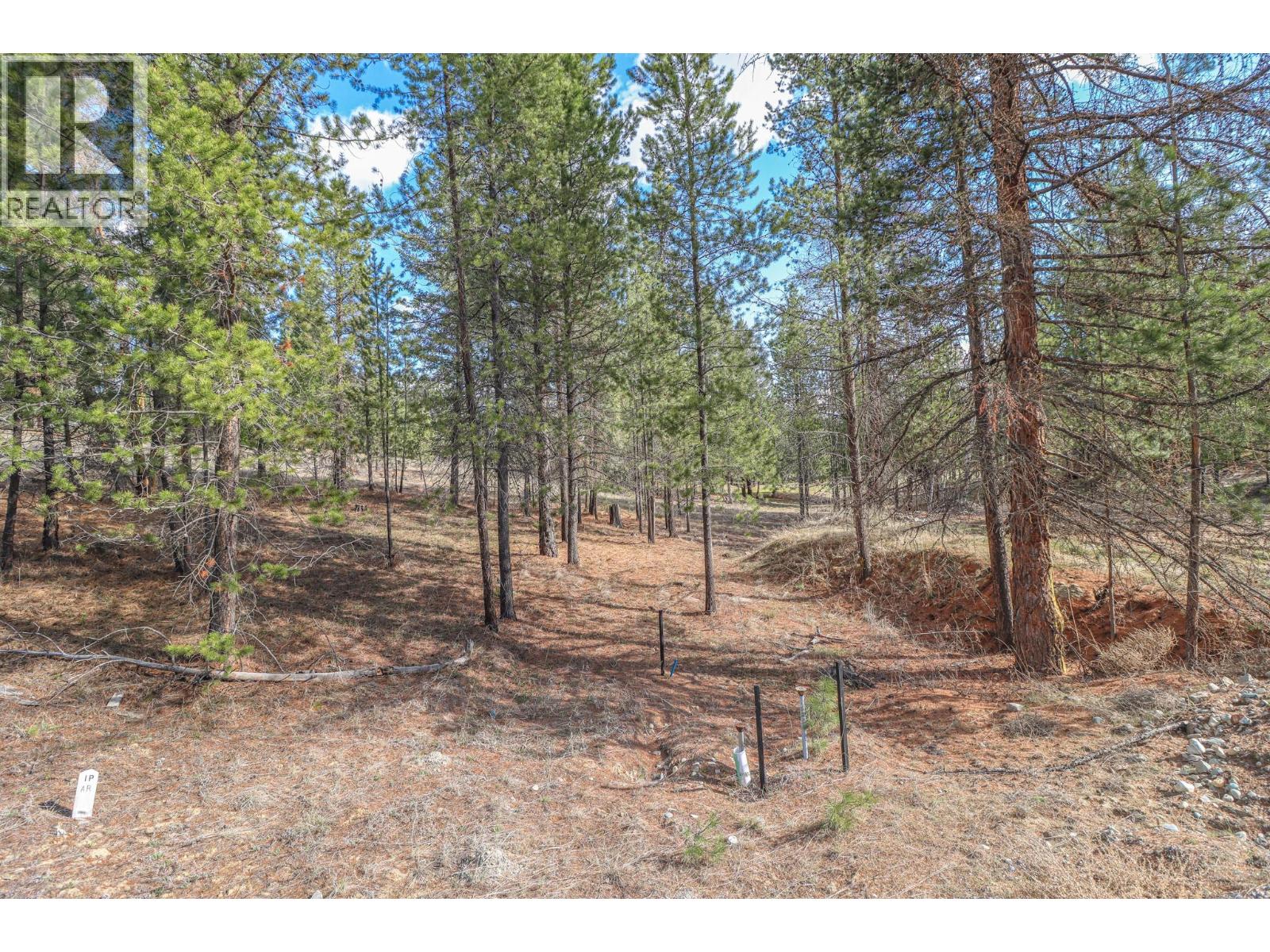 333 Corral Close, Cranbrook, British Columbia  V1C 0C2 - Photo 5 - 10366895