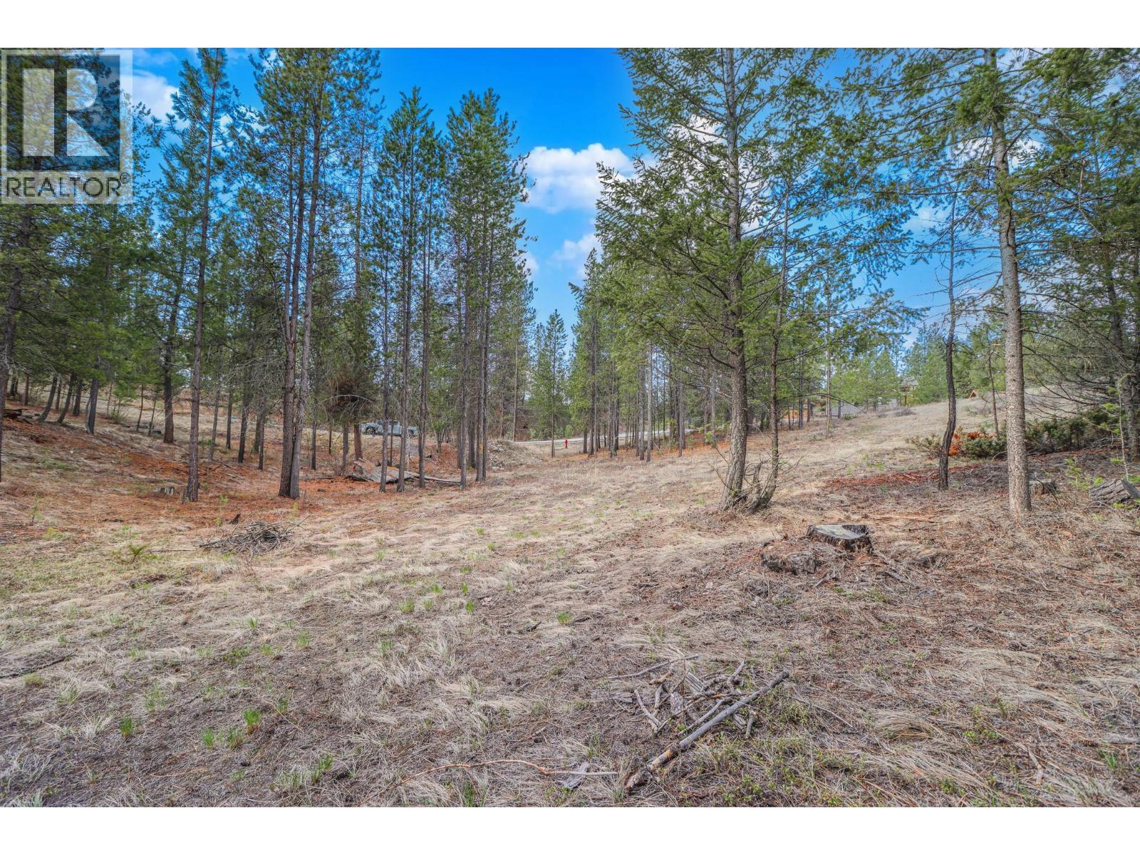 333 Corral Close, Cranbrook, British Columbia  V1C 0C2 - Photo 6 - 10366895