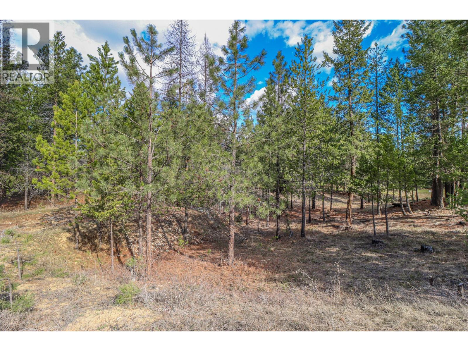 333 Corral Close, Cranbrook, British Columbia  V1C 0C2 - Photo 7 - 10366895