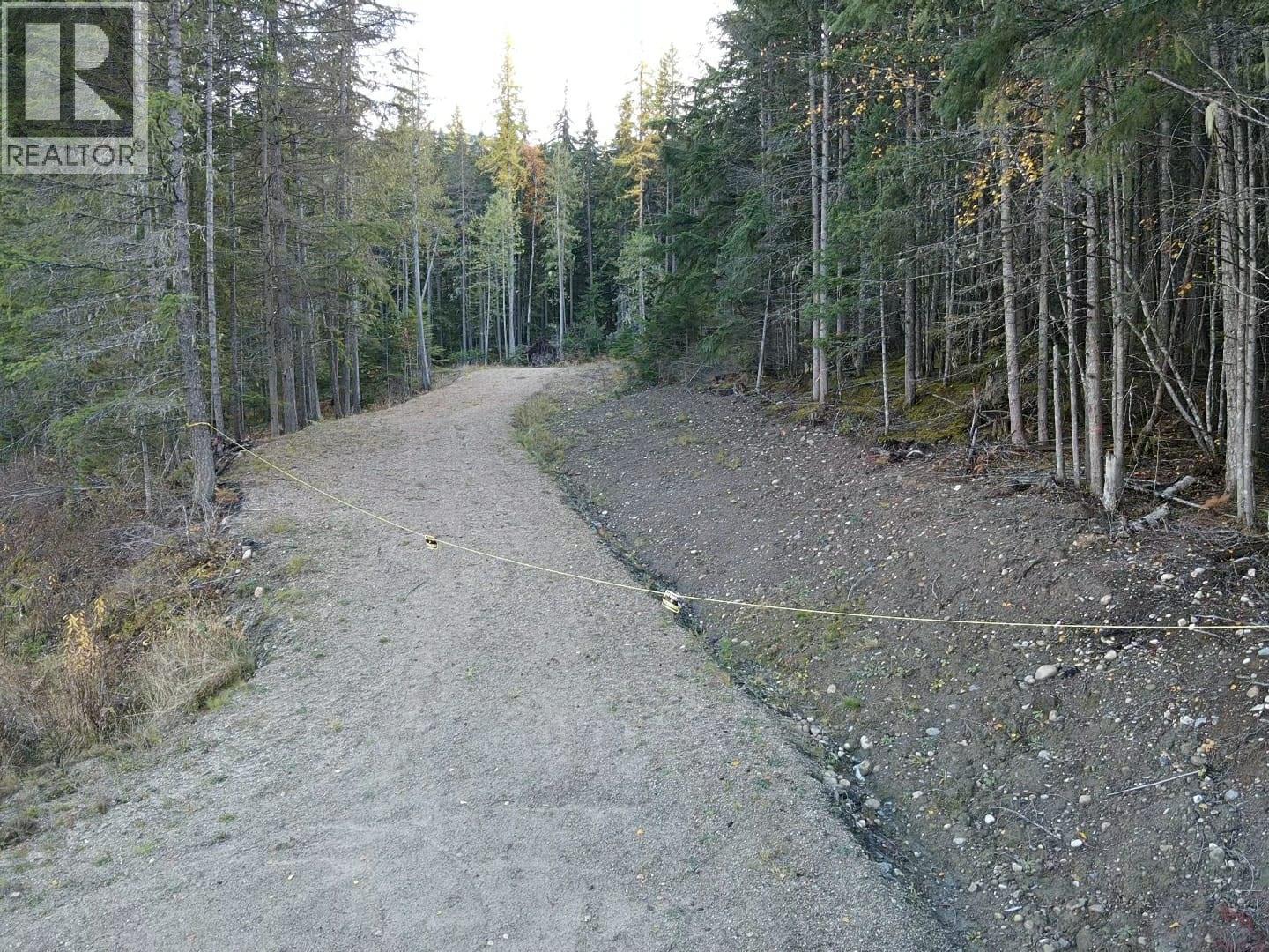 Lot 1 Brouse Loop Road, Nakusp, British Columbia  V0G 1R1 - Photo 1 - 10366760