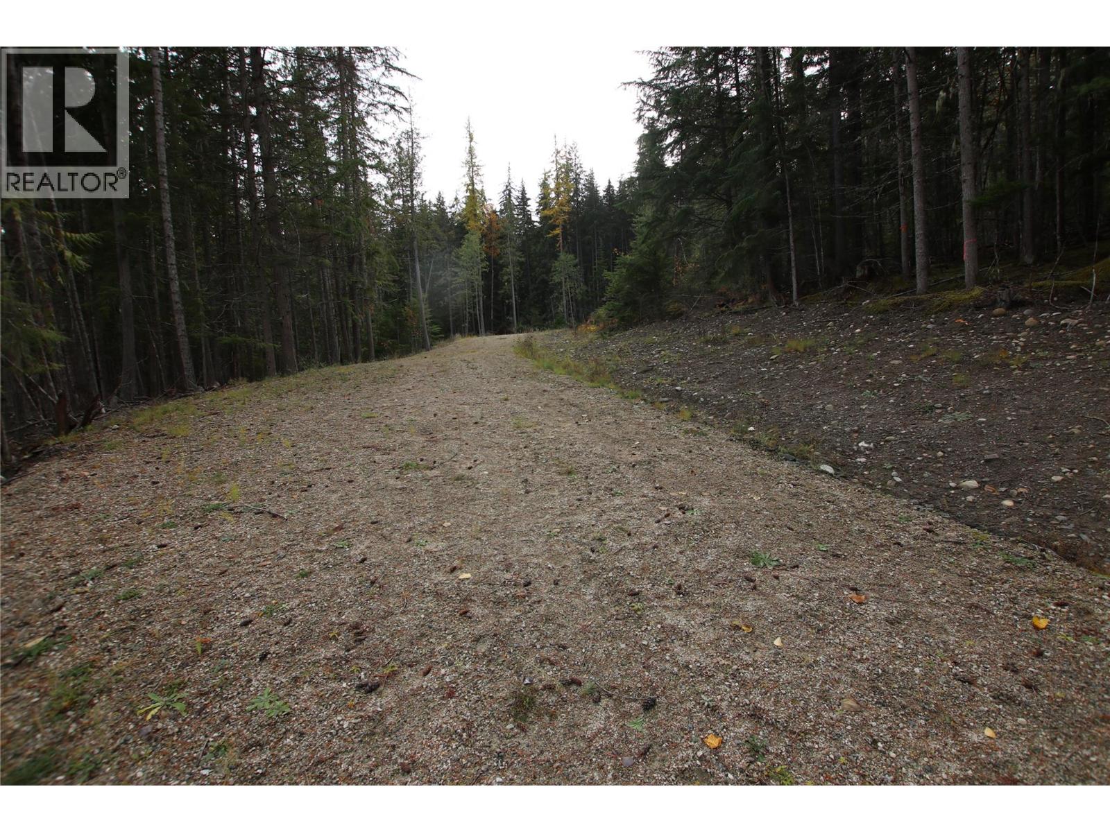 Lot 1 Brouse Loop Road, Nakusp, British Columbia  V0G 1R1 - Photo 10 - 10366760