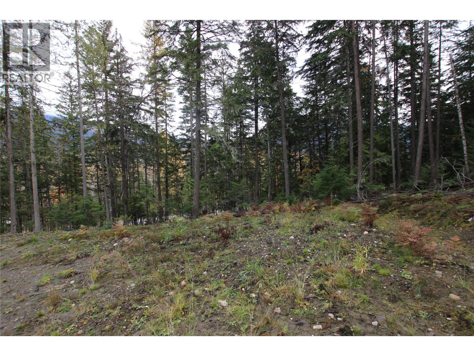 Lot 1 Brouse Loop Road, Nakusp, British Columbia  V0G 1R1 - Photo 21 - 10366760