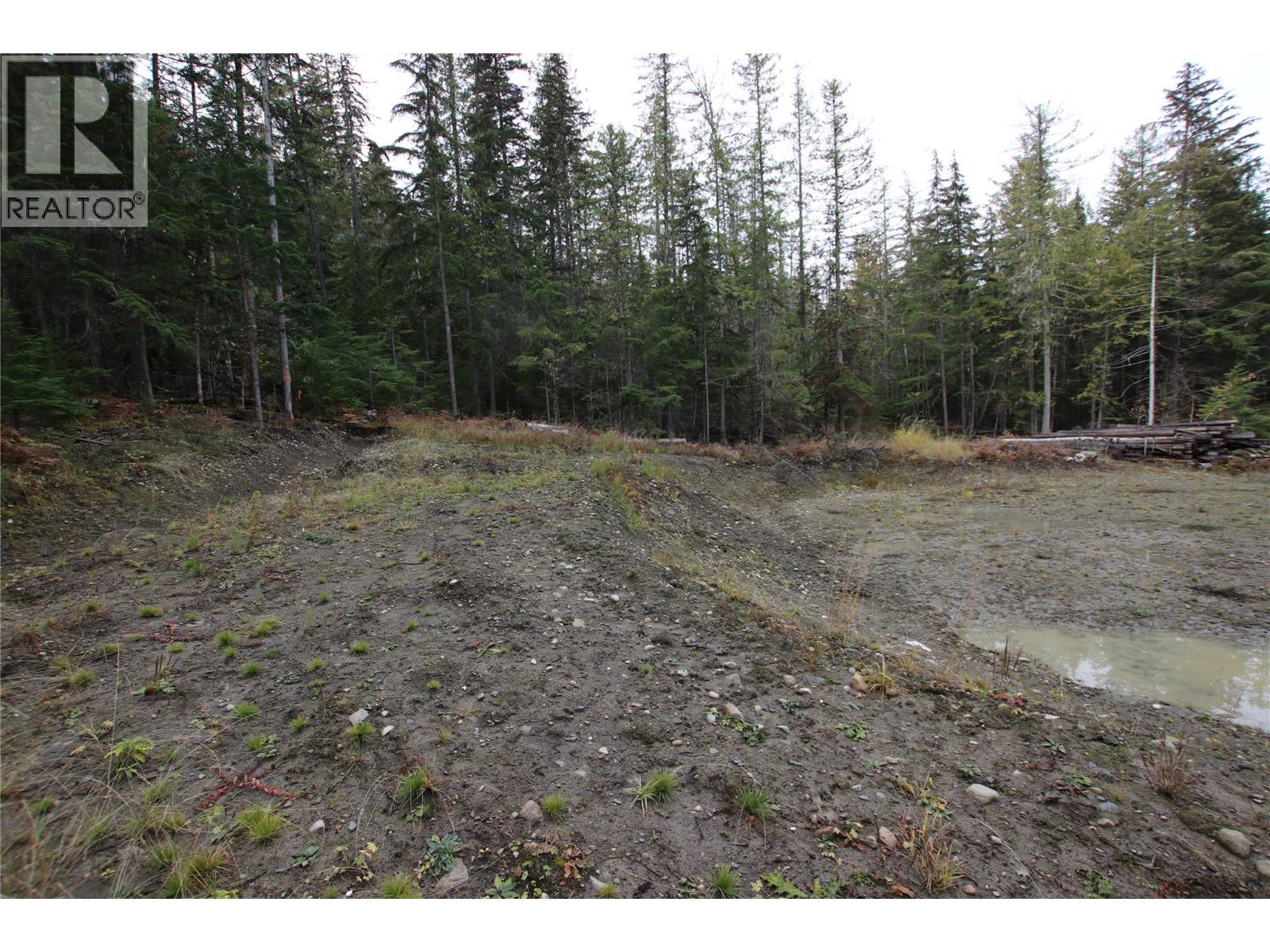 Lot 1 Brouse Loop Road, Nakusp, British Columbia  V0G 1R1 - Photo 22 - 10366760
