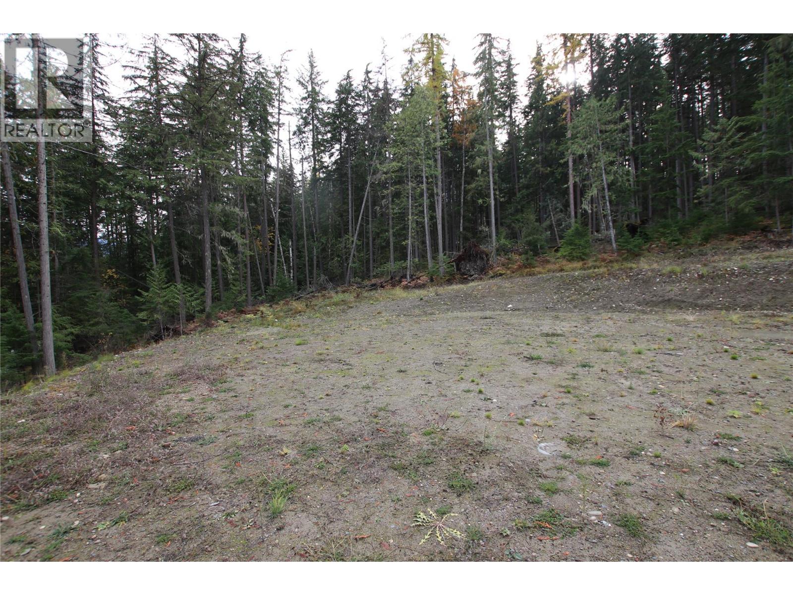 Lot 1 Brouse Loop Road, Nakusp, British Columbia  V0G 1R1 - Photo 23 - 10366760
