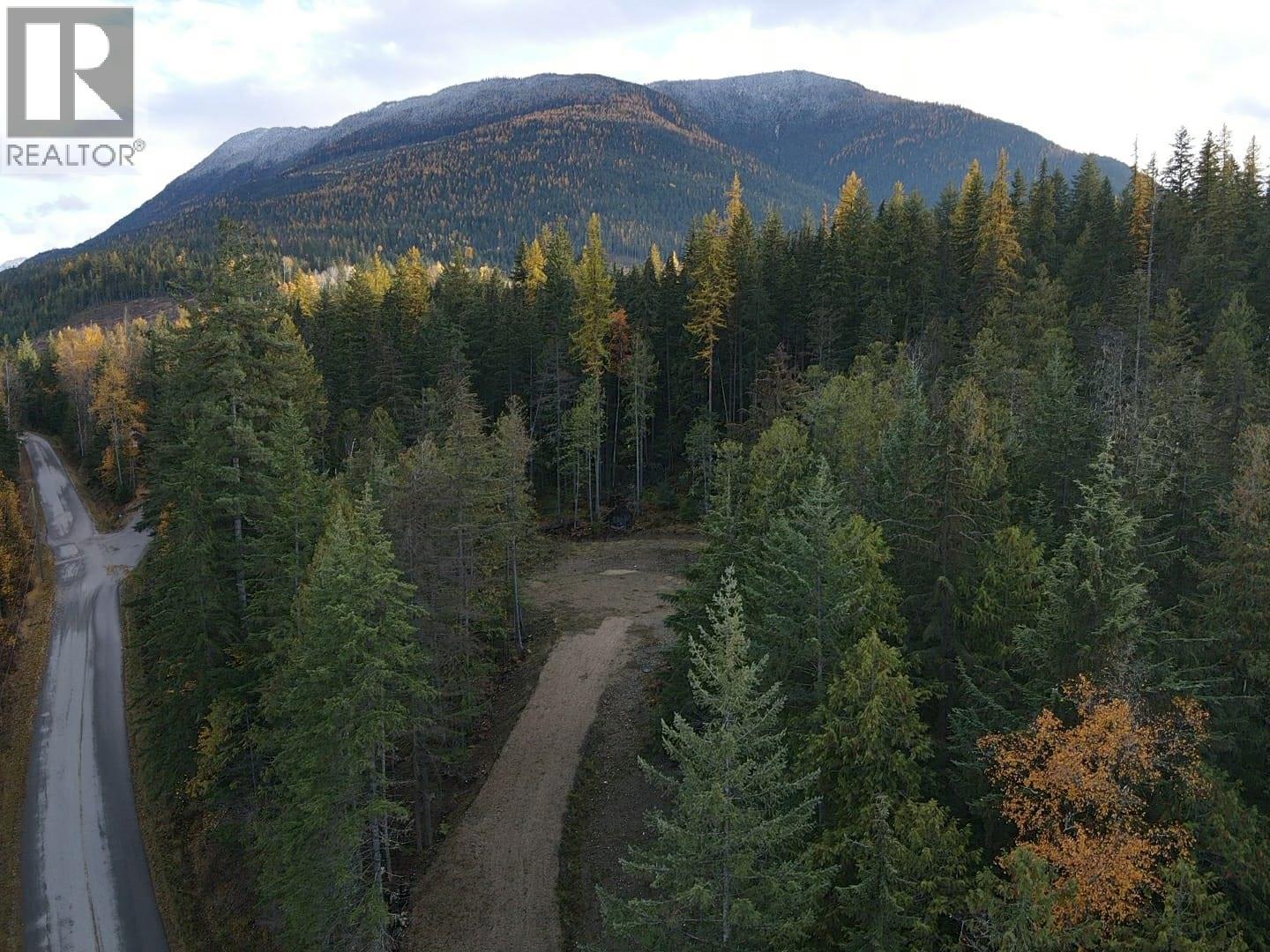 Lot 1 Brouse Loop Road, Nakusp, British Columbia  V0G 1R1 - Photo 3 - 10366760