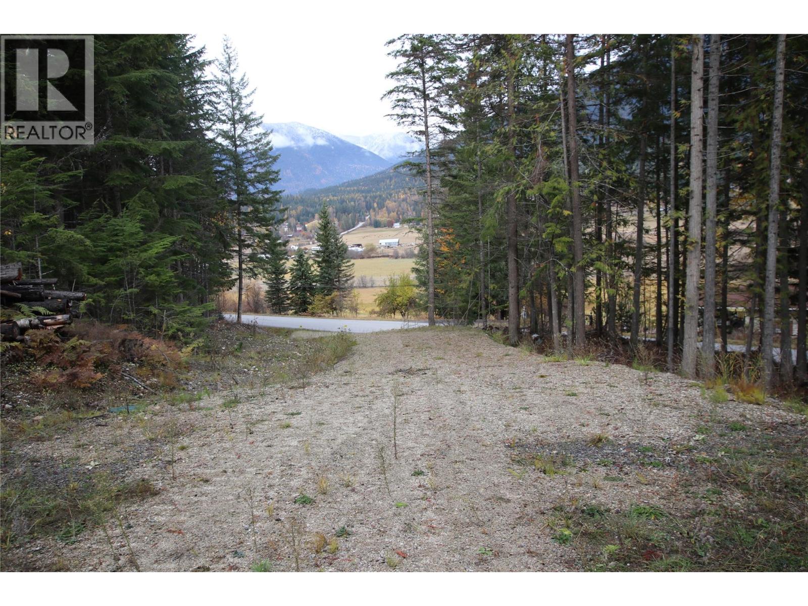 Lot 1 Brouse Loop Road, Nakusp, British Columbia  V0G 1R1 - Photo 4 - 10366760