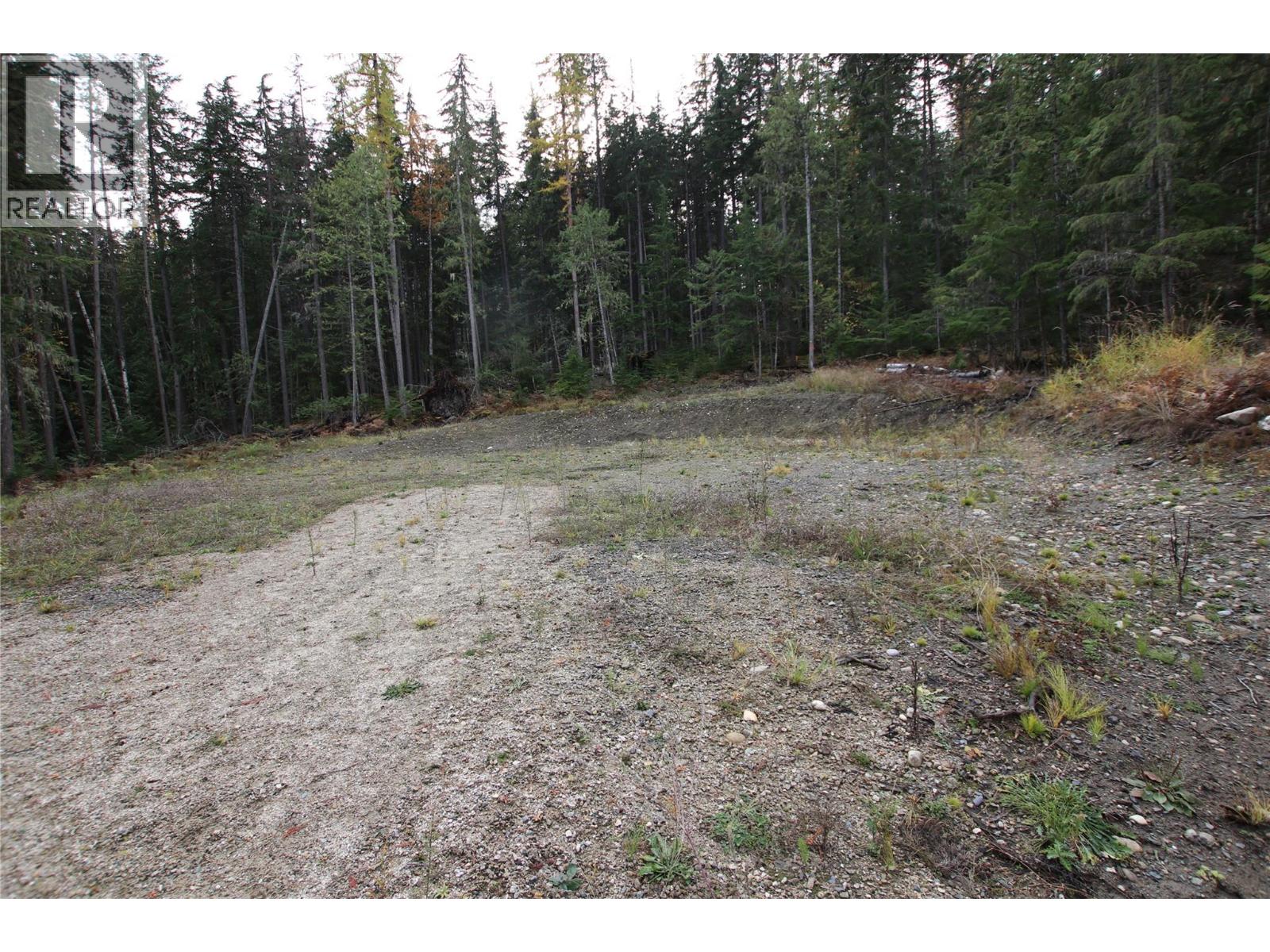 Lot 1 Brouse Loop Road, Nakusp, British Columbia  V0G 1R1 - Photo 6 - 10366760