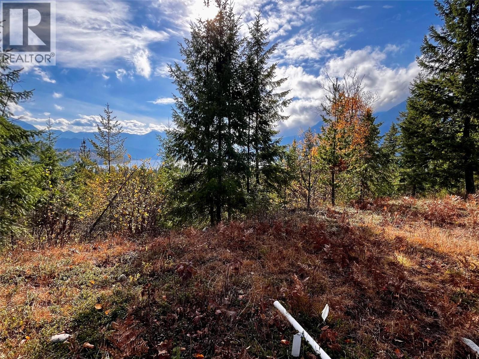 235 Fullmoon Road, Rosebery, British Columbia  V0G 1S1 - Photo 10 - 10366894