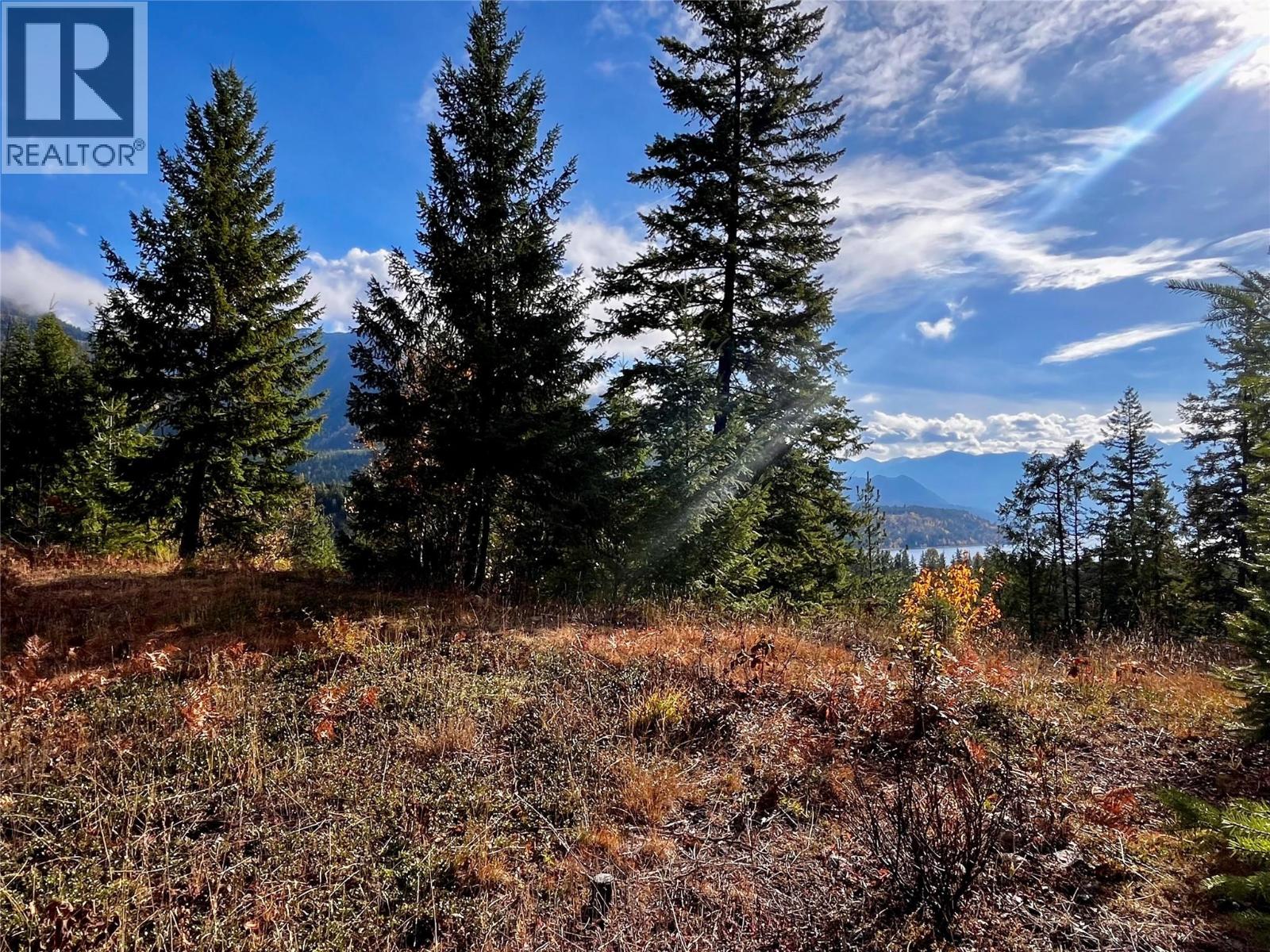 235 Fullmoon Road, Rosebery, British Columbia  V0G 1S1 - Photo 14 - 10366894