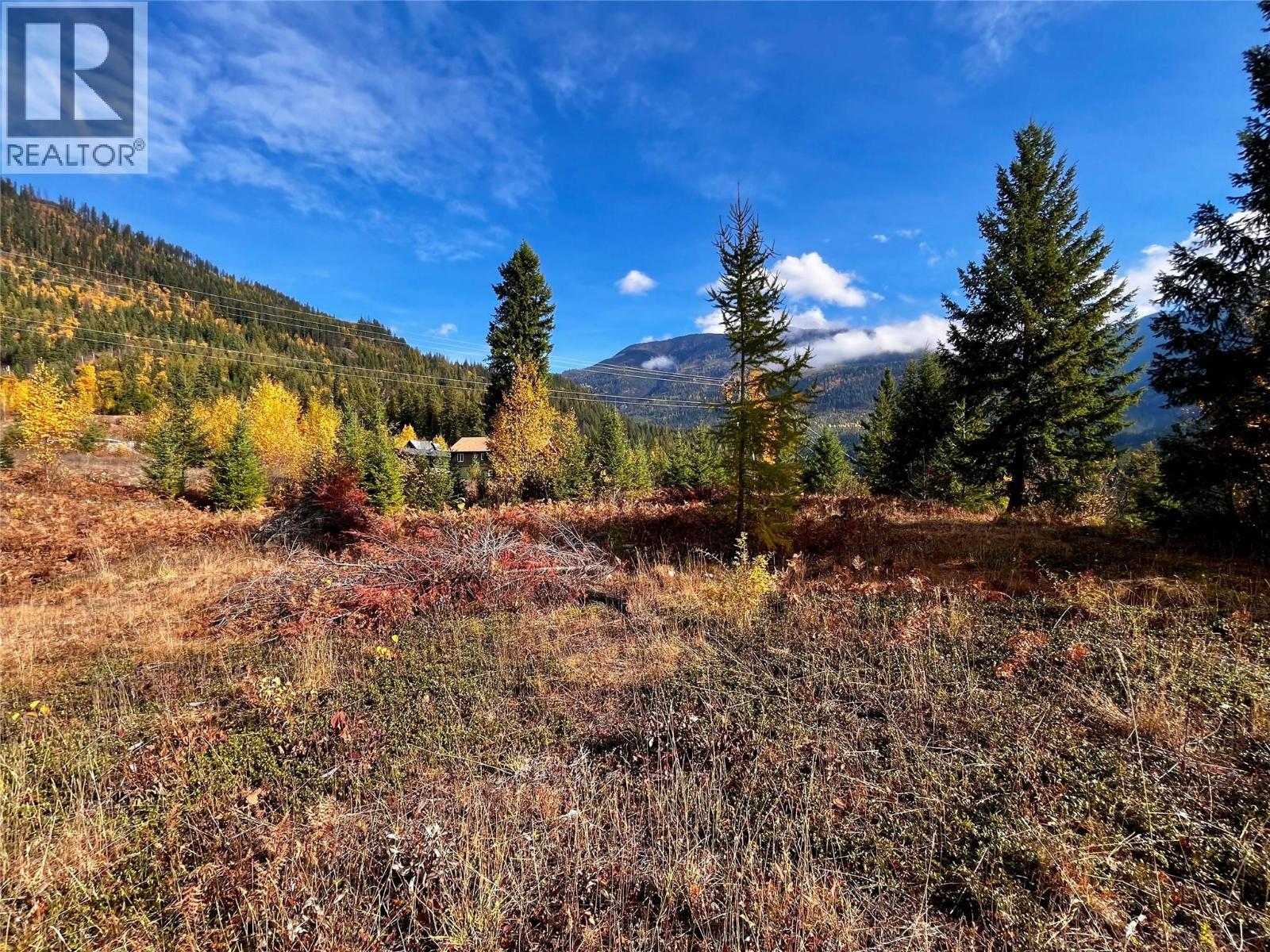 235 Fullmoon Road, Rosebery, British Columbia  V0G 1S1 - Photo 15 - 10366894