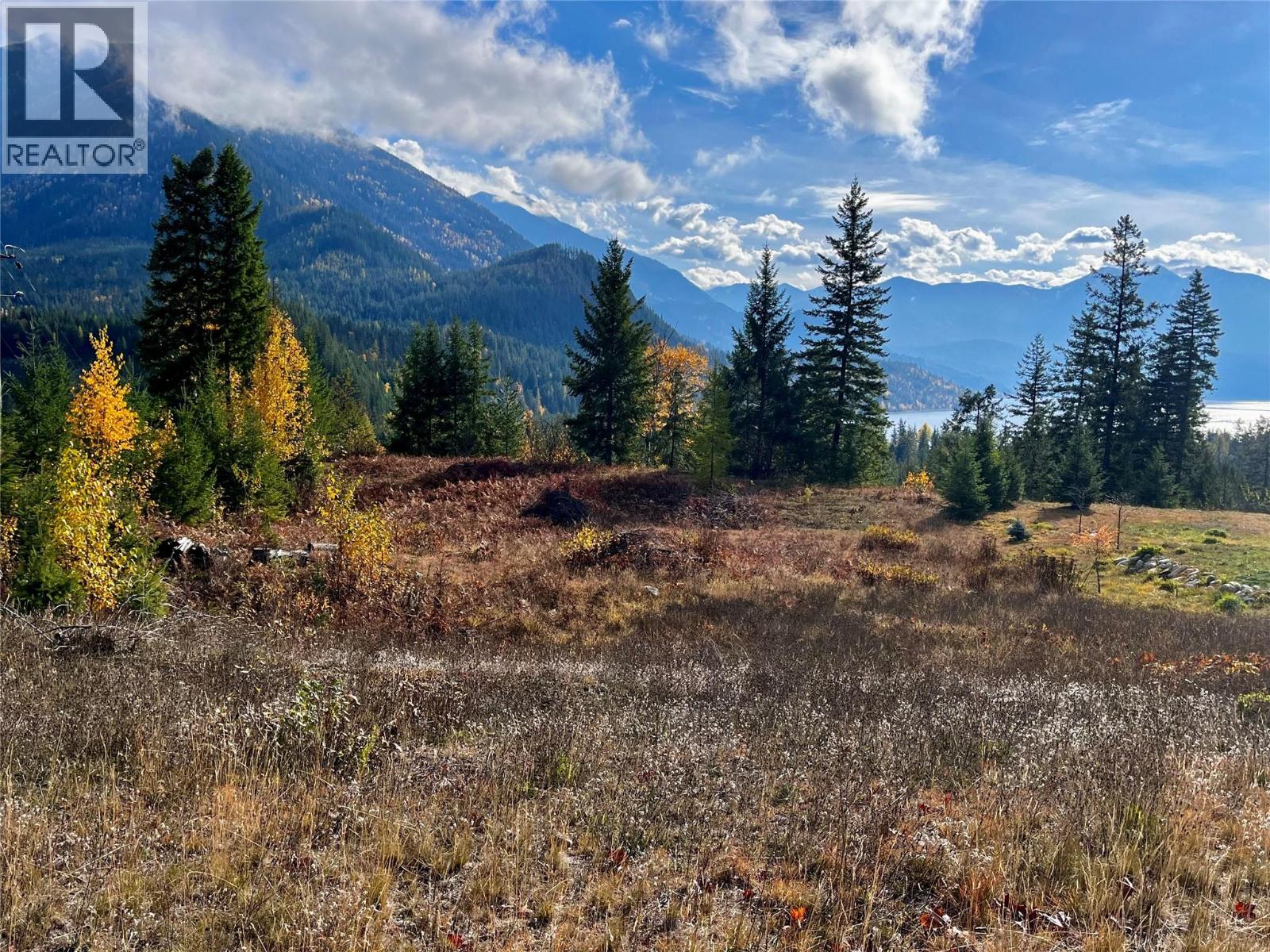 235 Fullmoon Road, Rosebery, British Columbia  V0G 1S1 - Photo 3 - 10366894