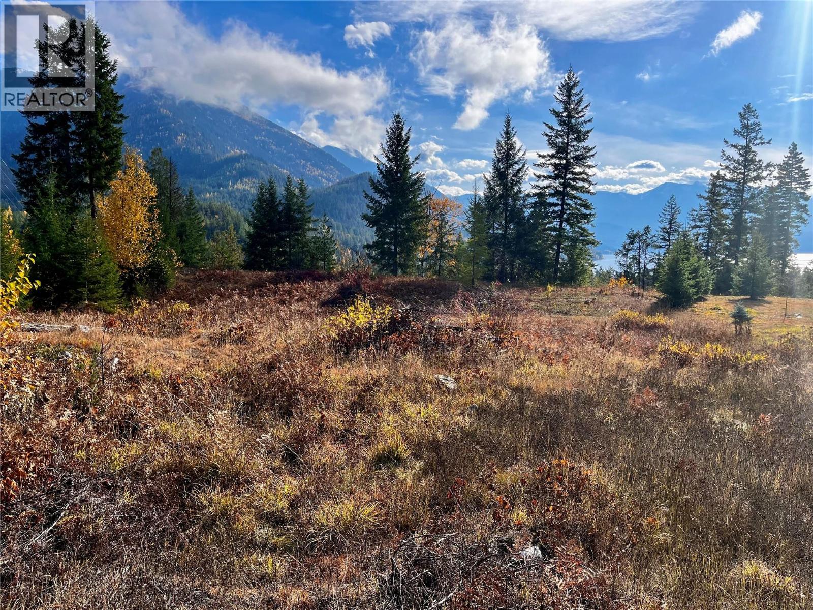 235 Fullmoon Road, Rosebery, British Columbia  V0G 1S1 - Photo 5 - 10366894