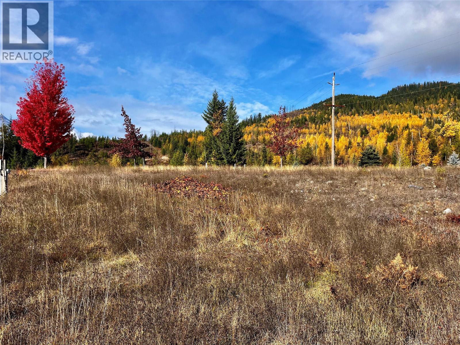 235 Fullmoon Road, Rosebery, British Columbia  V0G 1S1 - Photo 6 - 10366894