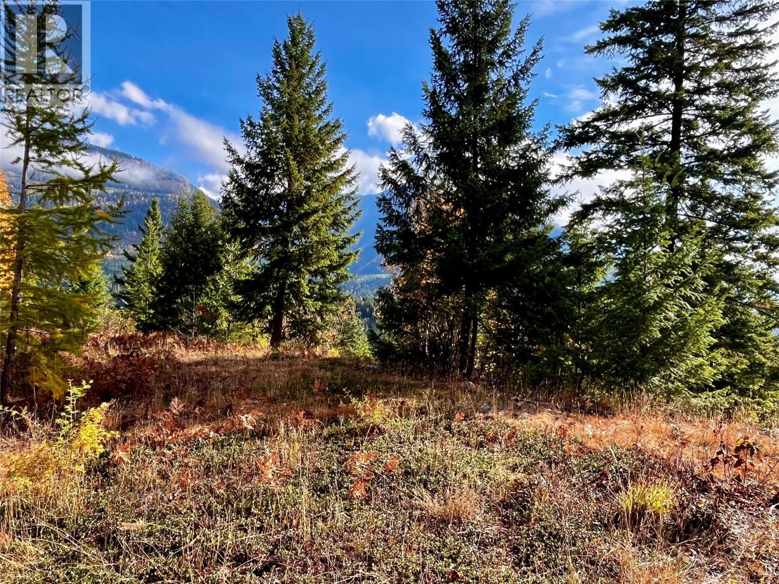 235 Fullmoon Road, Rosebery, British Columbia  V0G 1S1 - Photo 8 - 10366894