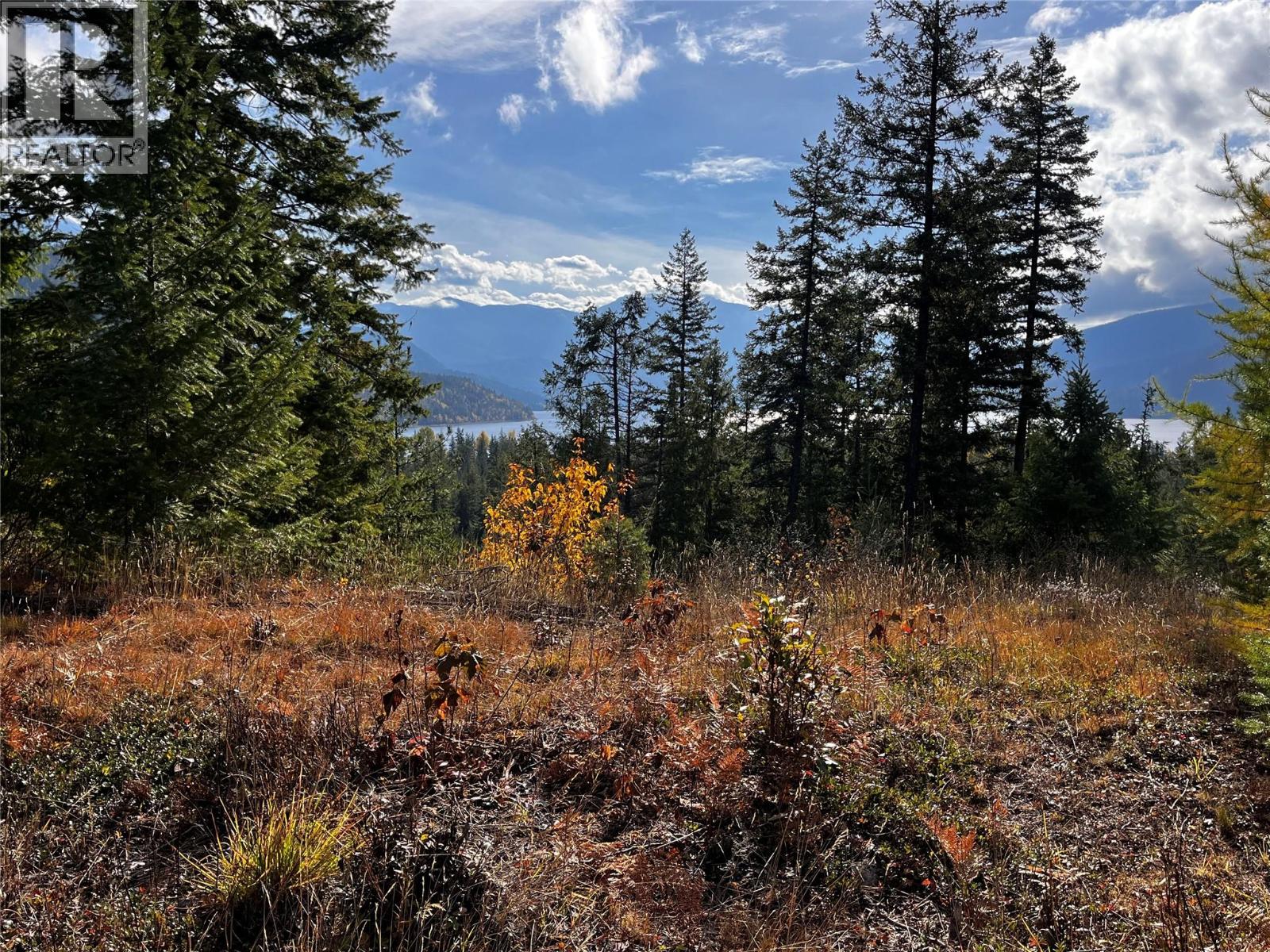 235 Fullmoon Road, Rosebery, British Columbia  V0G 1S1 - Photo 9 - 10366894