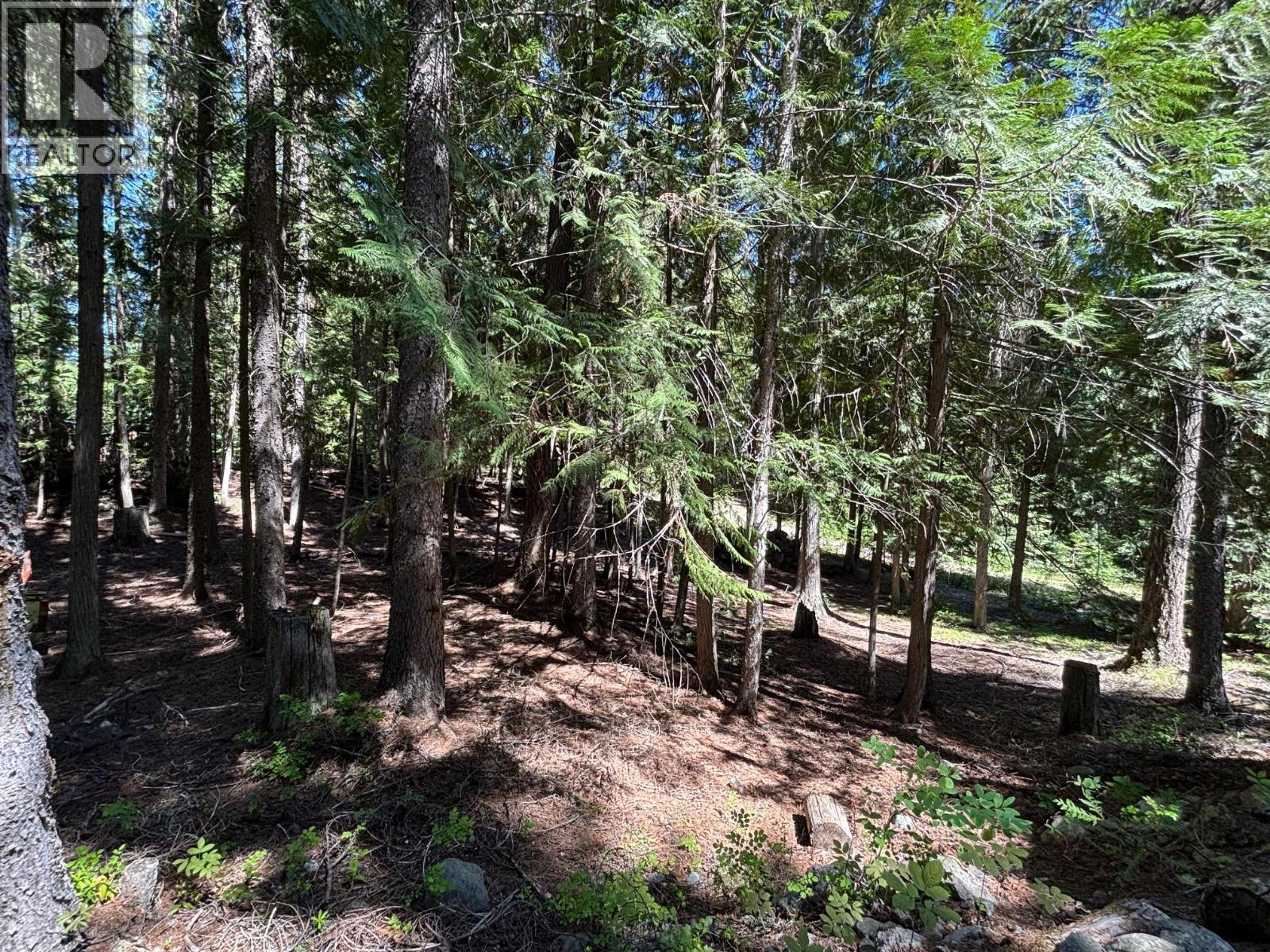 2832 Jewel Lake Road, Jewel Lake, British Columbia  V0H 1J0 - Photo 33 - 10367027