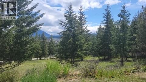 343 Cross Road, Cranbrook, British Columbia  V1C 6W6 - Photo 1 - 10367110