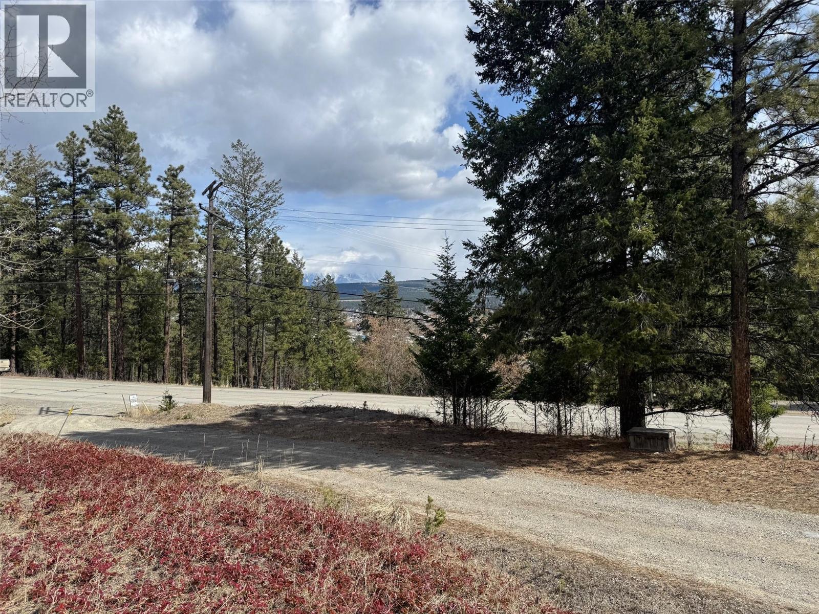 343 Cross Road, Cranbrook, British Columbia  V1C 6W6 - Photo 7 - 10367110