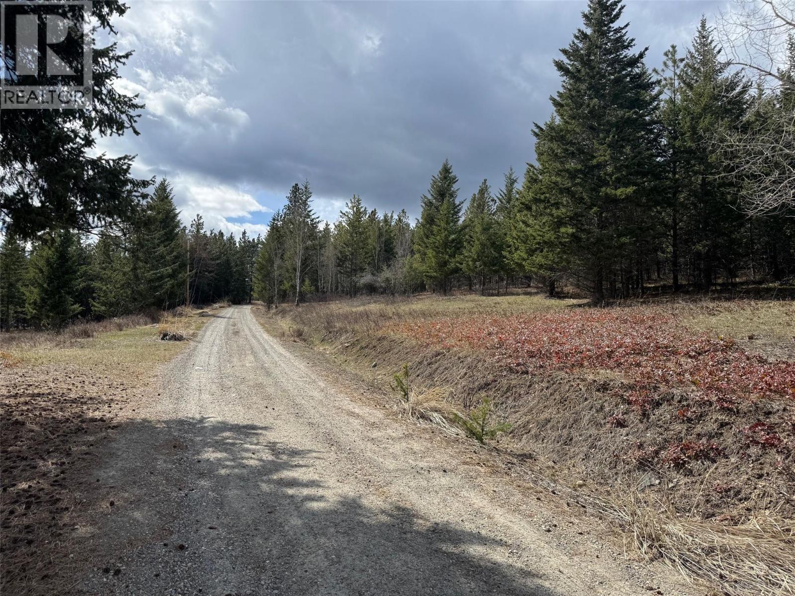 343 Cross Road, Cranbrook, British Columbia  V1C 6W6 - Photo 9 - 10367110