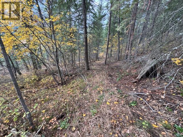 490 Sumac Road, Tappen, British Columbia  V0E 2X1 - Photo 10 - 10364798