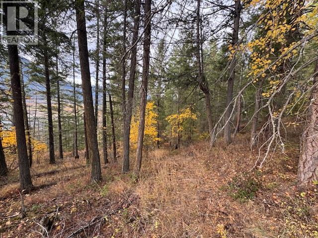 490 Sumac Road, Tappen, British Columbia  V0E 2X1 - Photo 11 - 10364798