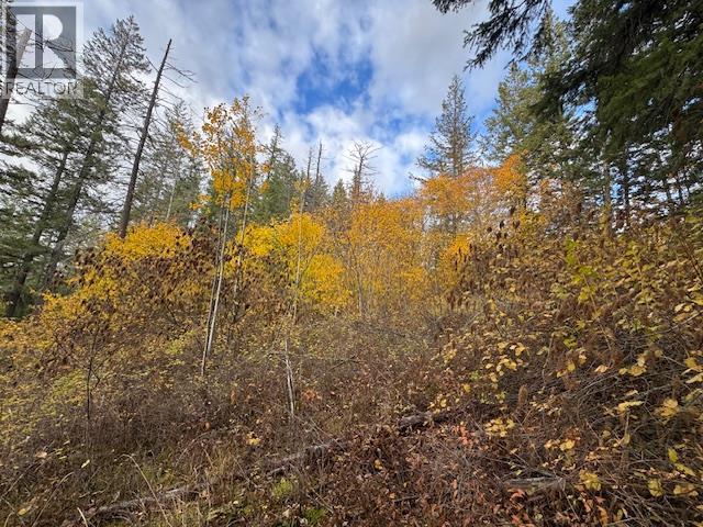 490 Sumac Road, Tappen, British Columbia  V0E 2X1 - Photo 12 - 10364798
