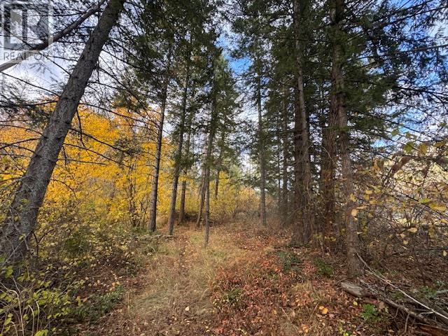 490 Sumac Road, Tappen, British Columbia  V0E 2X1 - Photo 13 - 10364798