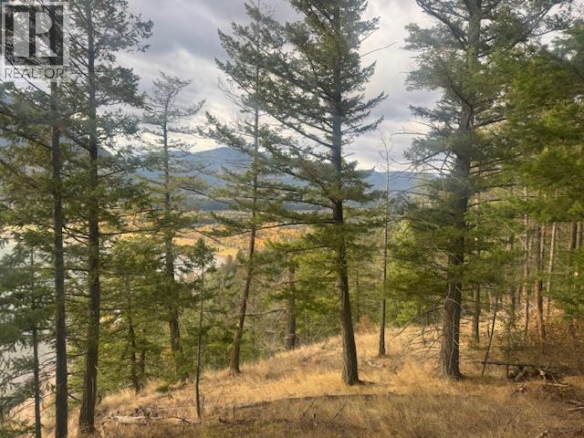 490 Sumac Road, Tappen, British Columbia  V0E 2X1 - Photo 2 - 10364798