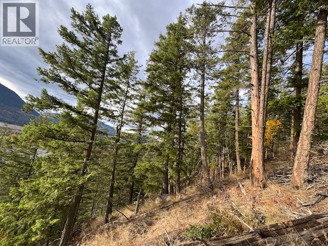 490 Sumac Road, Tappen, British Columbia  V0E 2X1 - Photo 3 - 10364798