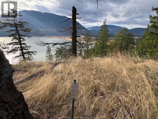 490 Sumac Road, Tappen, British Columbia  V0E 2X1 - Photo 4 - 10364798