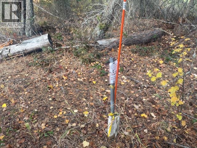 490 Sumac Road, Tappen, British Columbia  V0E 2X1 - Photo 5 - 10364798