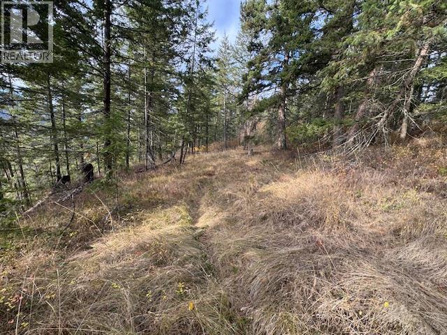 490 Sumac Road, Tappen, British Columbia  V0E 2X1 - Photo 6 - 10364798