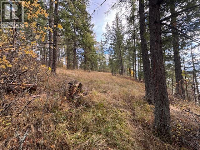 490 Sumac Road, Tappen, British Columbia  V0E 2X1 - Photo 7 - 10364798