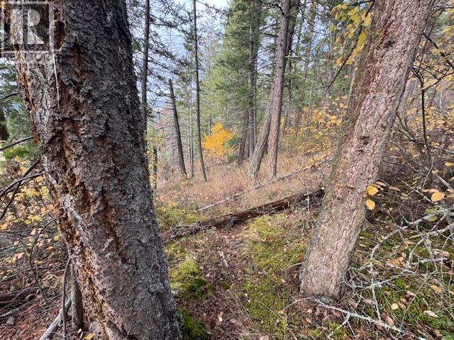 490 Sumac Road, Tappen, British Columbia  V0E 2X1 - Photo 8 - 10364798