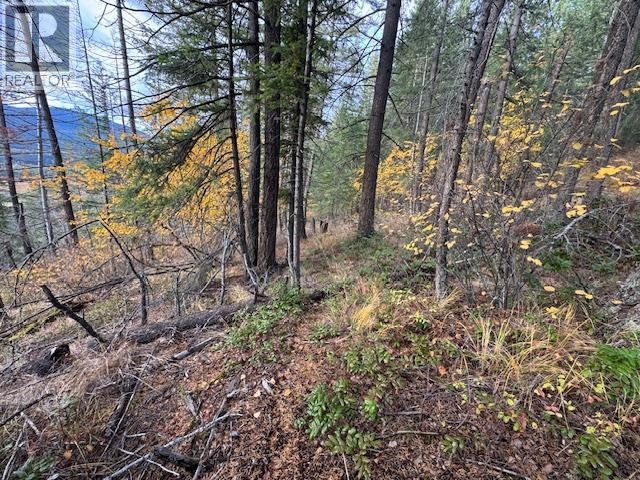 490 Sumac Road, Tappen, British Columbia  V0E 2X1 - Photo 9 - 10364798