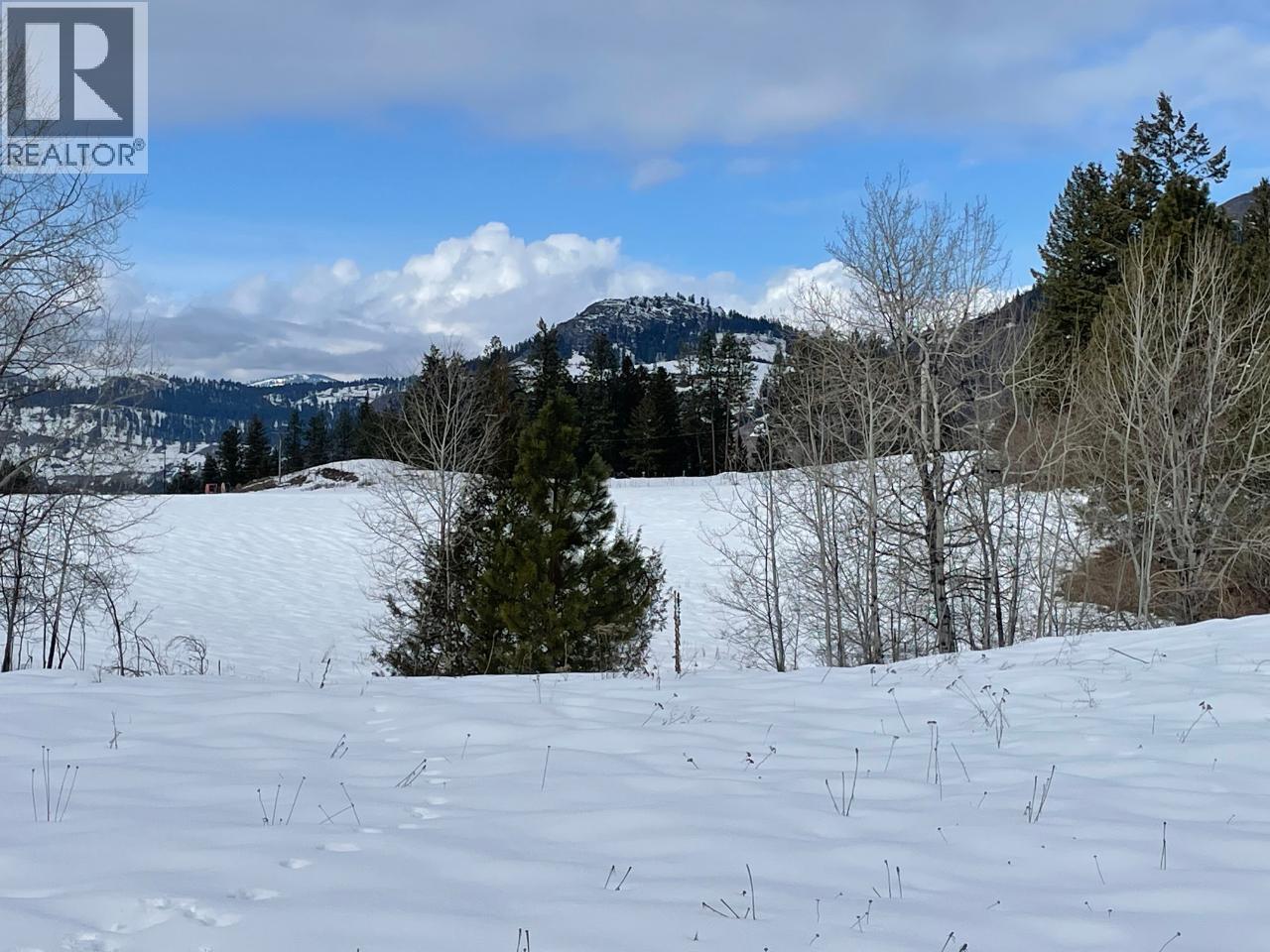 3352 3 Highway, Rock Creek, British Columbia  V0H 1Y0 - Photo 14 - 10367177