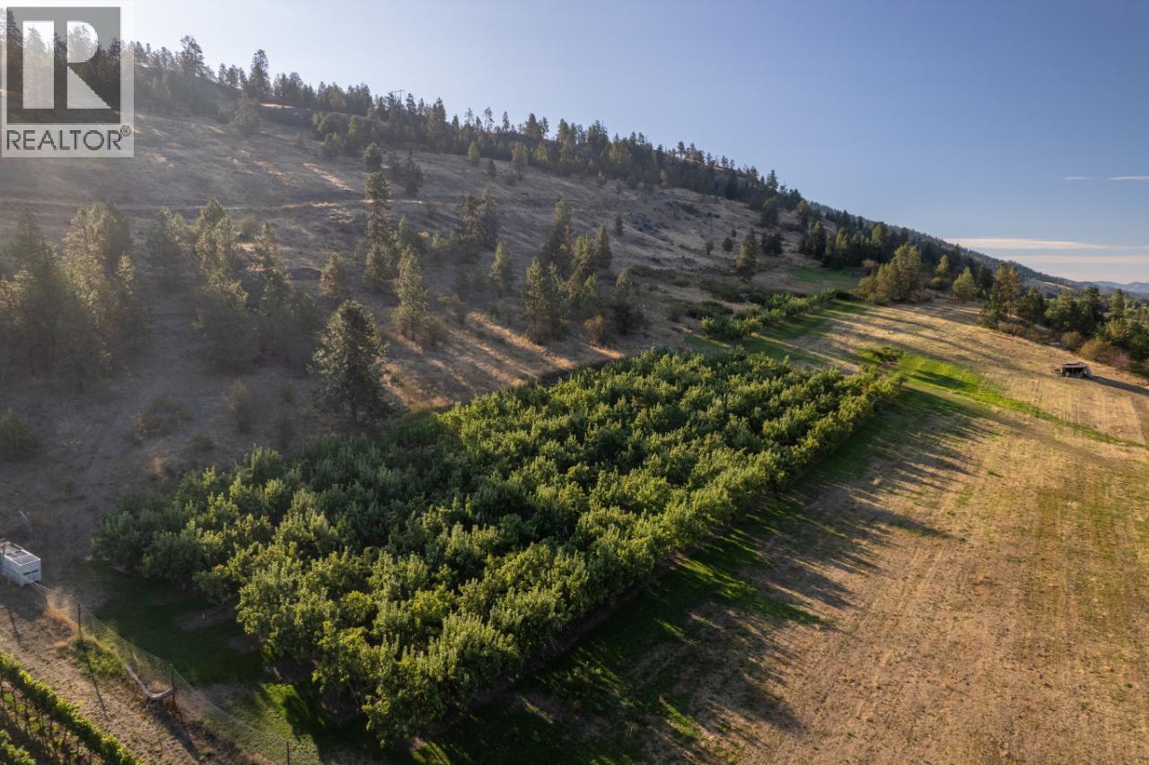 1116 Naramata Road, Penticton, British Columbia  V2A 8T6 - Photo 16 - 10367160