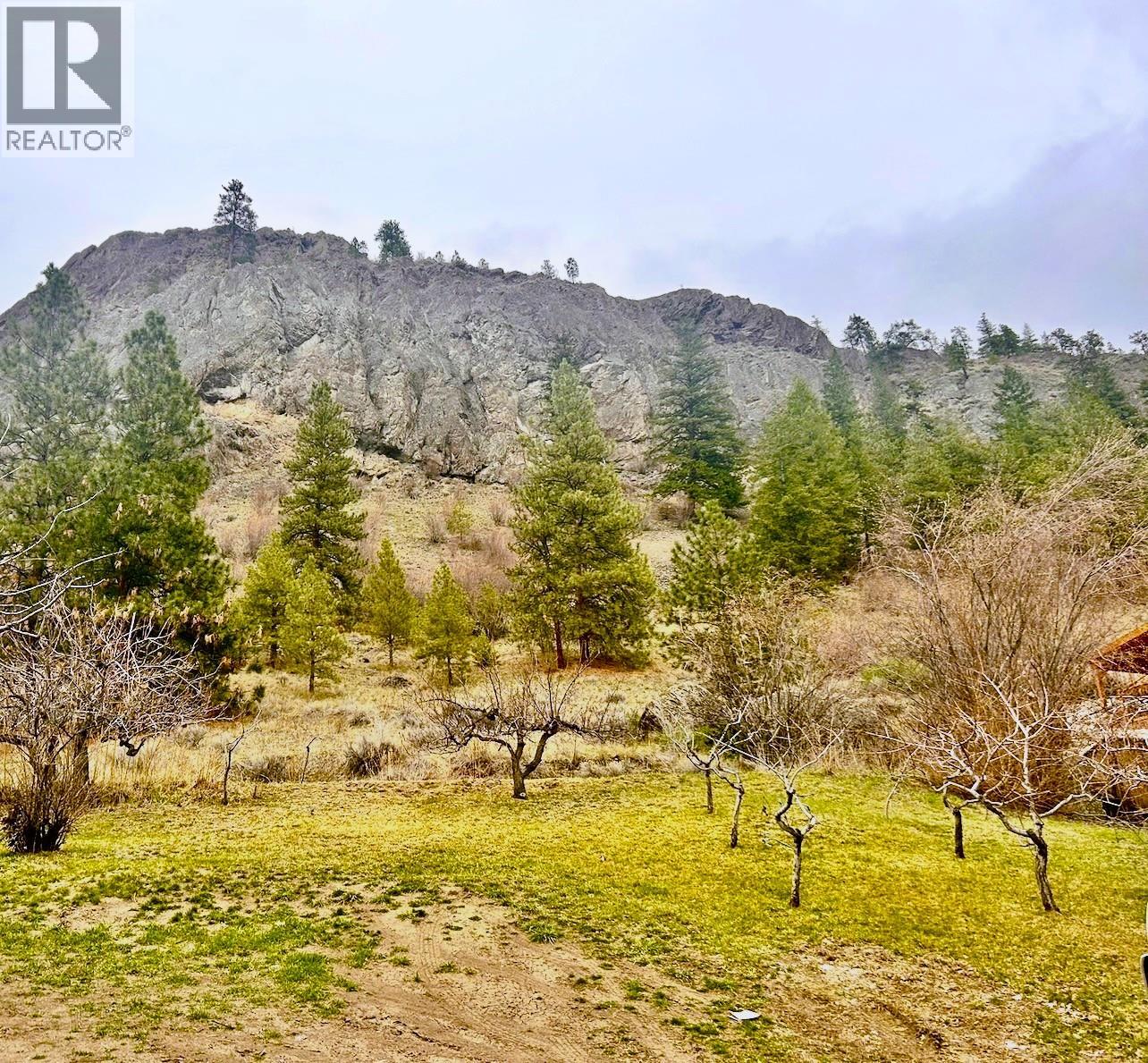 11401 Victoria Road S, Summerland, British Columbia  V0H 1Z2 - Photo 2 - 10367015