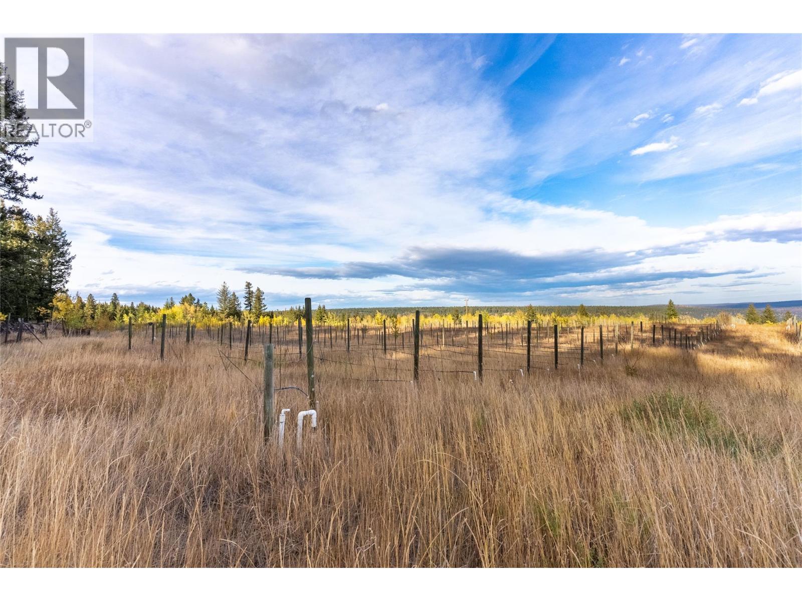 75 Big Bar Road, Clinton, British Columbia  V0K 1K0 - Photo 58 - 10367236