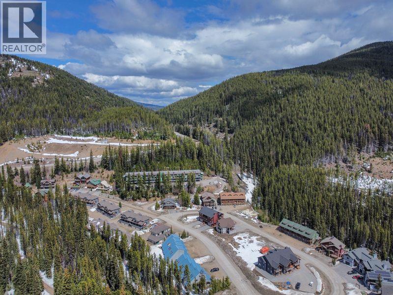 1175 Apex Mountain Road, Apex Mountain, British Columbia  V0H 1K0 - Photo 10 - 10367215