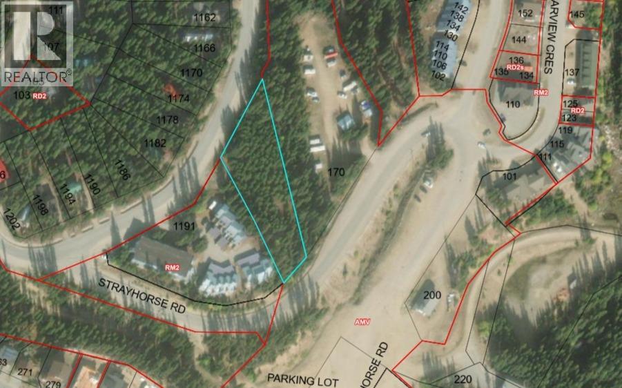 1175 Apex Mountain Road, Apex Mountain, British Columbia  V0H 1K0 - Photo 4 - 10367215